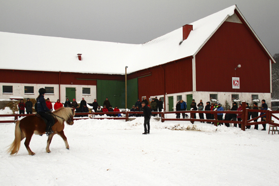 Sleipnirclinic